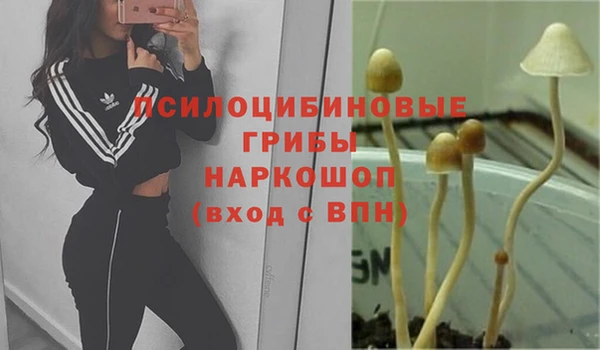 гидропоника Алексин