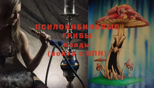 гидропоника Алексин