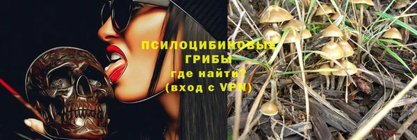 ешки Алексеевка