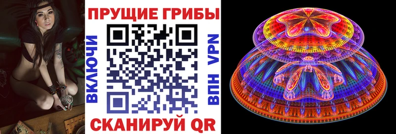 Галлюциногенные грибы Psilocybe  Еманжелинск 